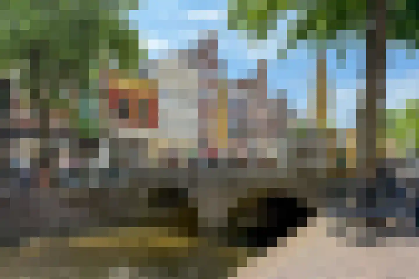 Mient 4 C Alkmaar thumbnail 32