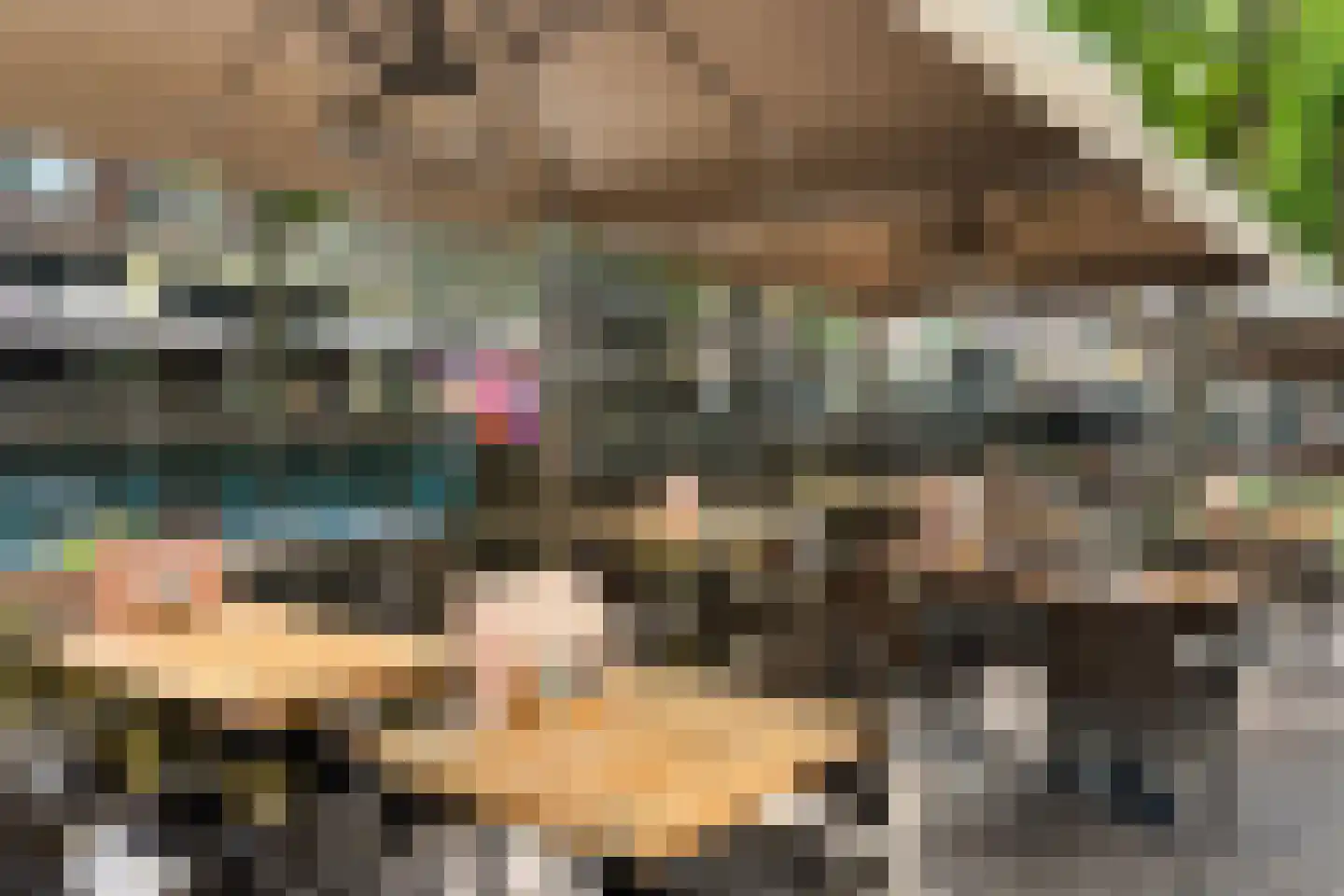 Mient 4 C Alkmaar thumbnail 35