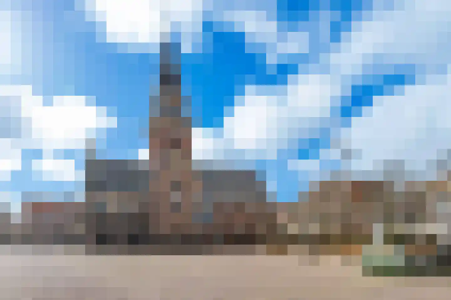Mient 4 C Alkmaar thumbnail 38
