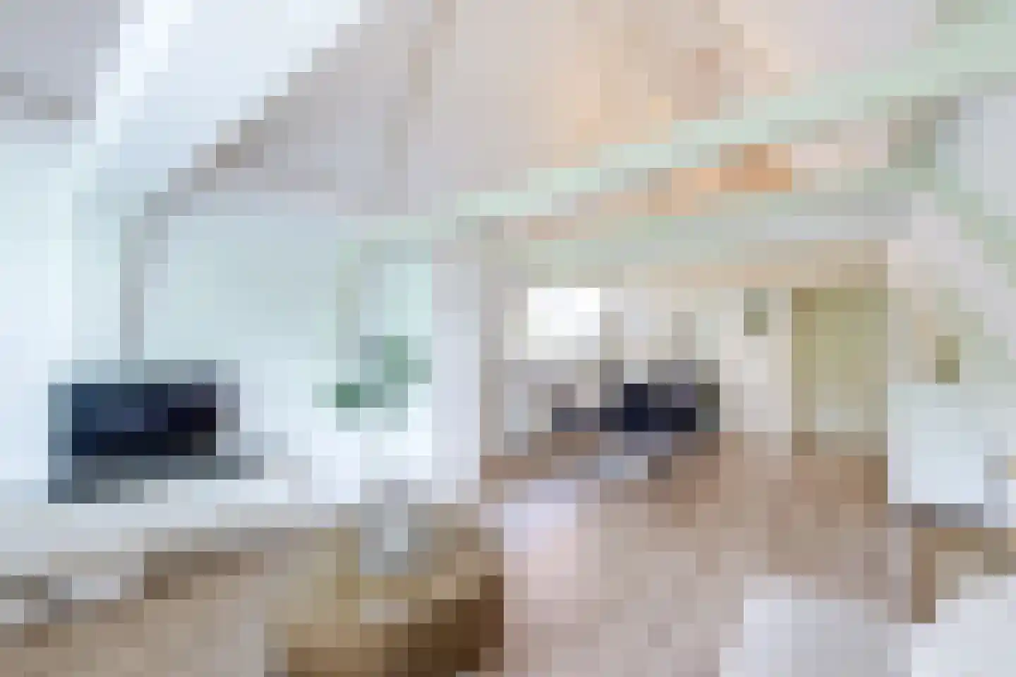 Mient 4 C Alkmaar thumbnail 4
