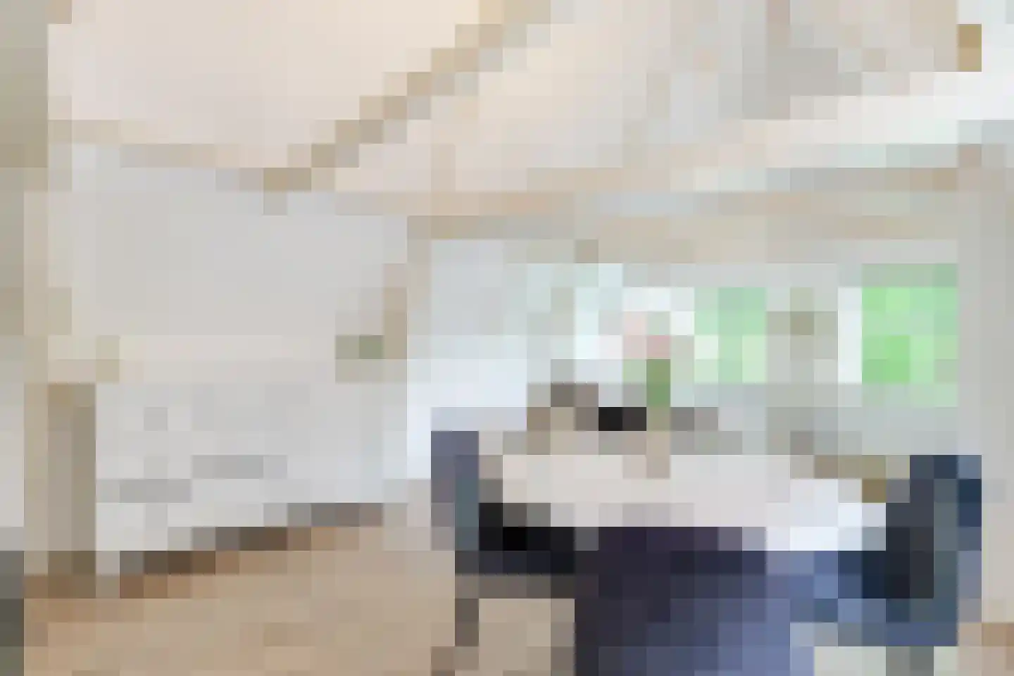 Mient 4 C Alkmaar thumbnail 7