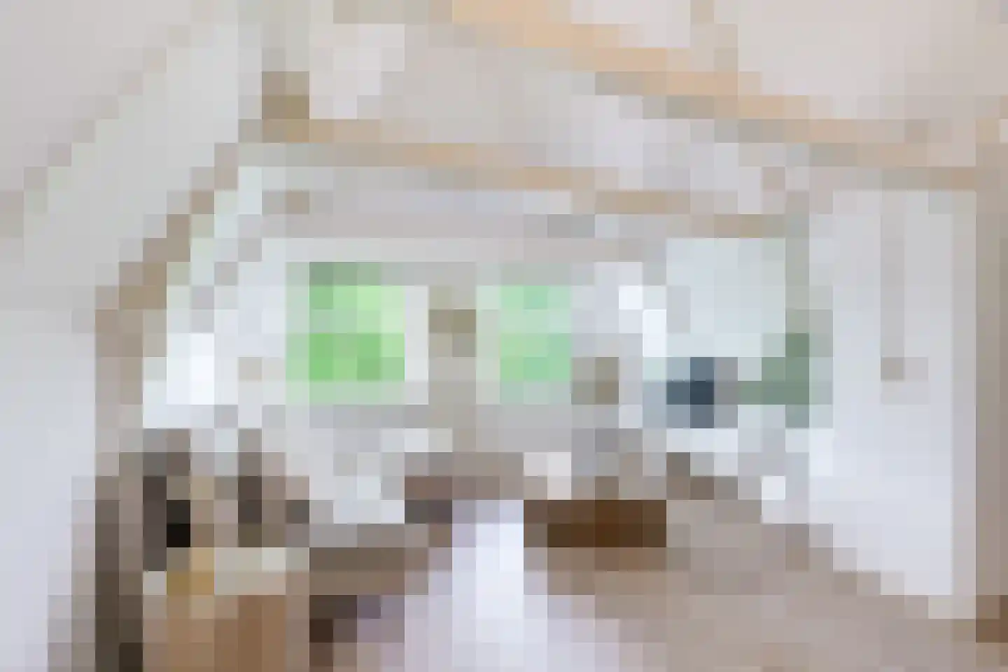 Mient 4 C Alkmaar thumbnail 8