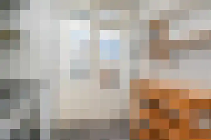 Mient 405 Den Haag thumbnail 19