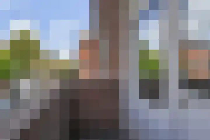 Mient 405 Den Haag thumbnail 21