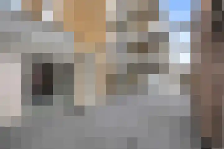 Mient 44 Capelle aan den IJssel thumbnail 10