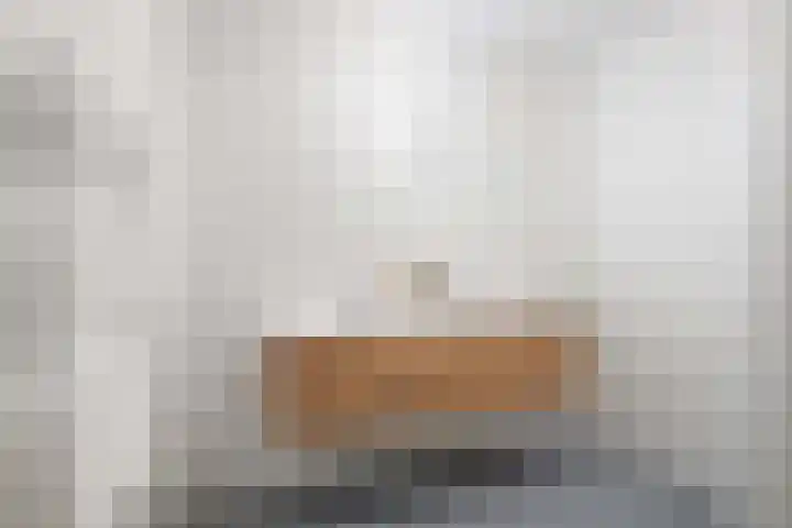 Mient 44 Capelle aan den IJssel thumbnail 15