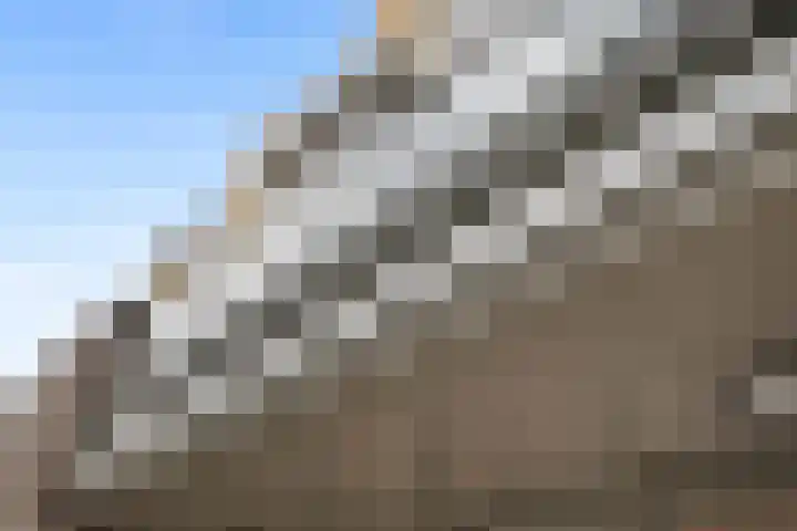 Mient 44 Capelle aan den IJssel thumbnail 4