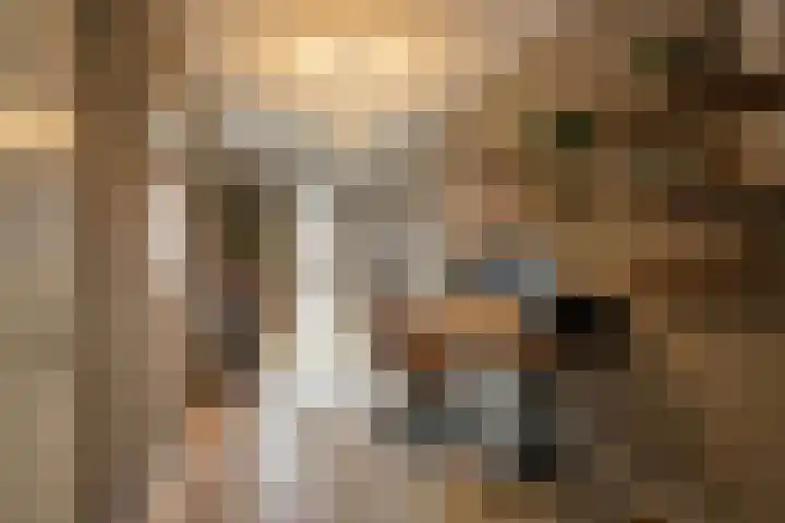 Mient 44 Capelle aan den IJssel thumbnail 8