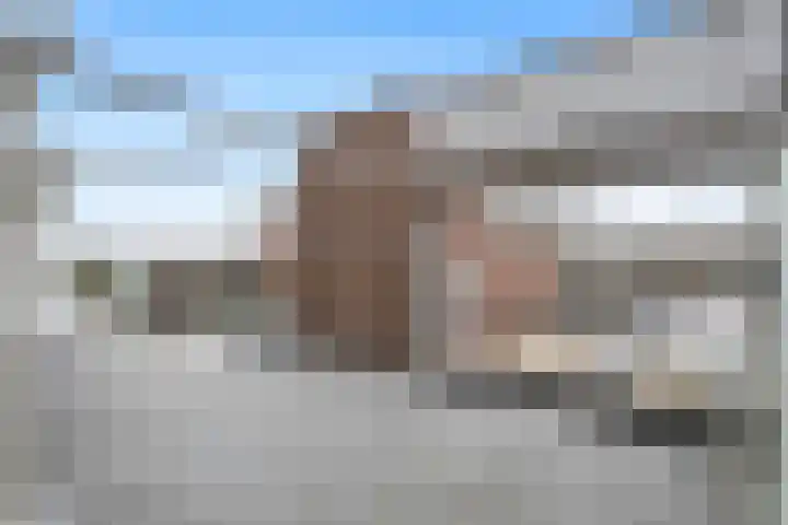 Mient 44 Capelle aan den IJssel thumbnail 9