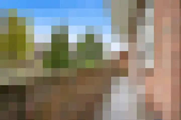 Mient 453 Den Haag thumbnail 16