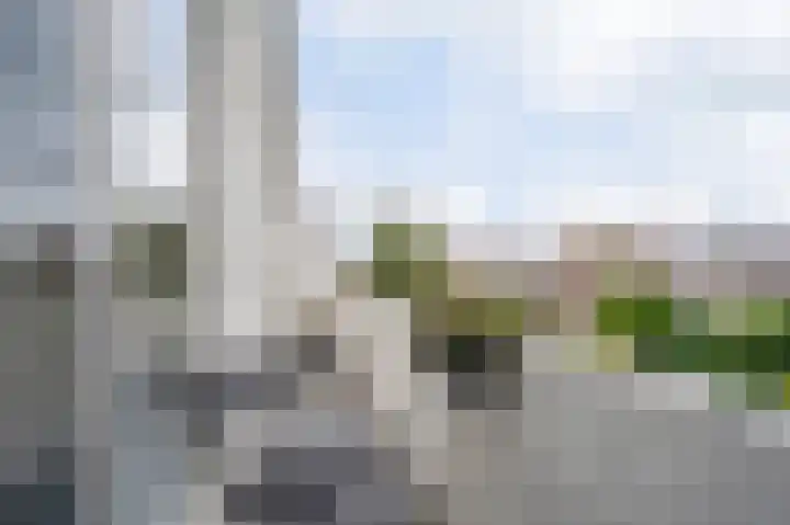 Mient 455 Den Haag thumbnail 39
