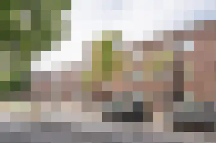 Mient 455 Den Haag thumbnail 41