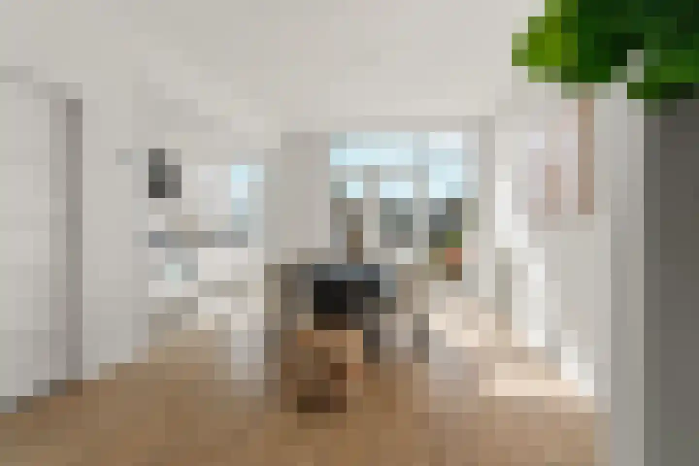 Mient 46 Den Haag thumbnail 19