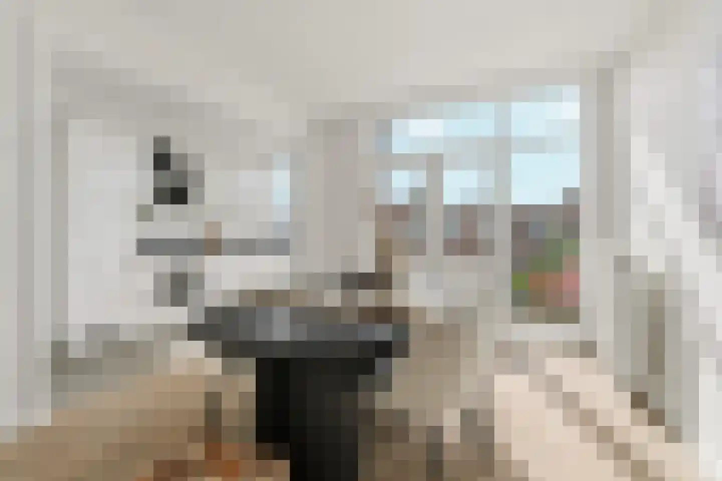 Mient 46 Den Haag thumbnail 22