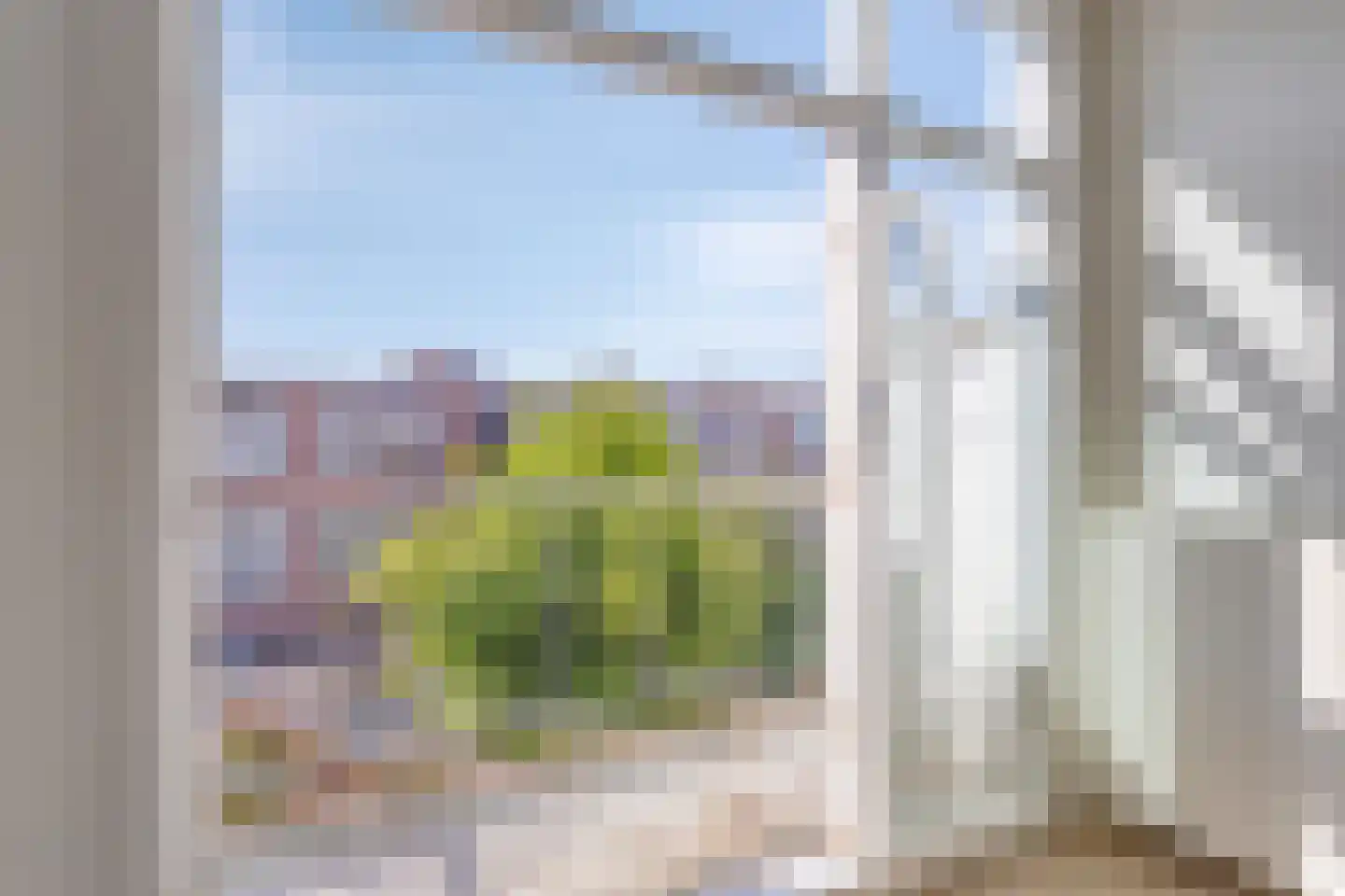 Mient 46 Den Haag thumbnail 4