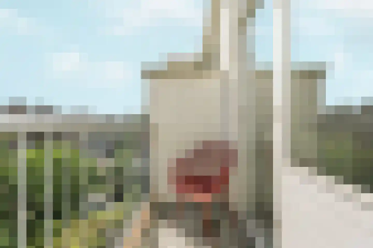 Mient 46 Den Haag thumbnail 49