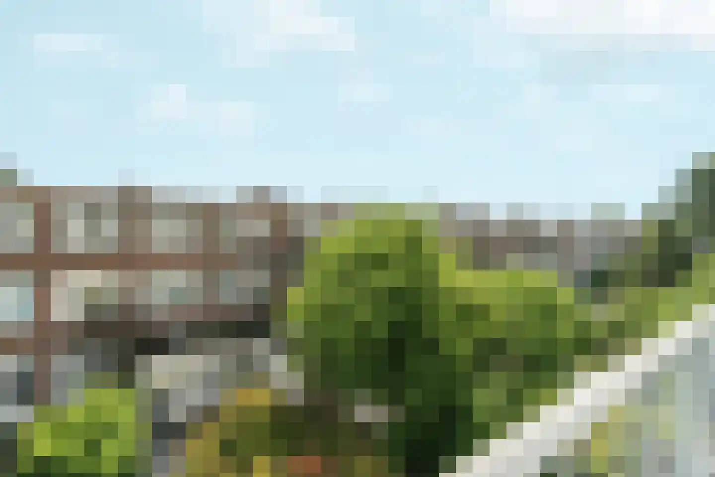 Mient 46 Den Haag thumbnail 53