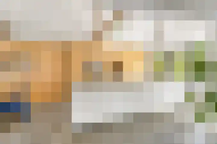 Mient 5 Castricum thumbnail 10