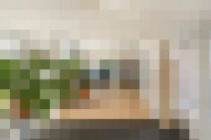 Mient 5 Castricum thumbnail 23