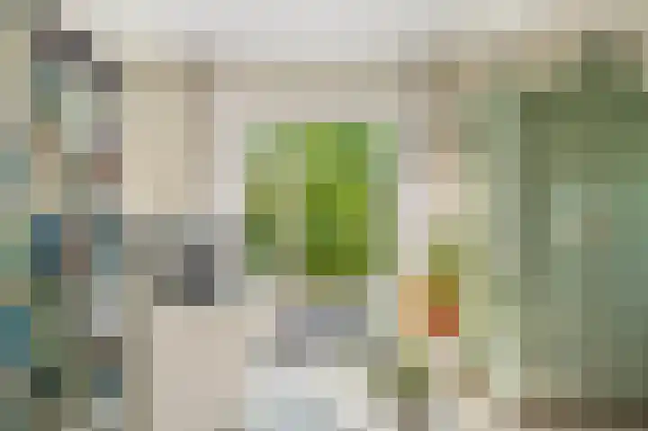Mient 5 Castricum thumbnail 35