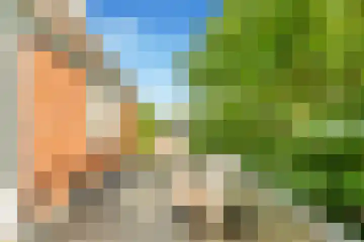 Mient 5 Castricum thumbnail 37