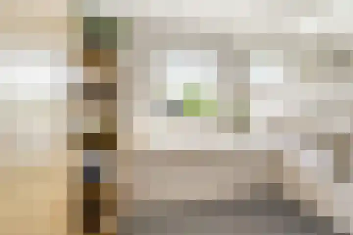Mient 5 Castricum thumbnail 39