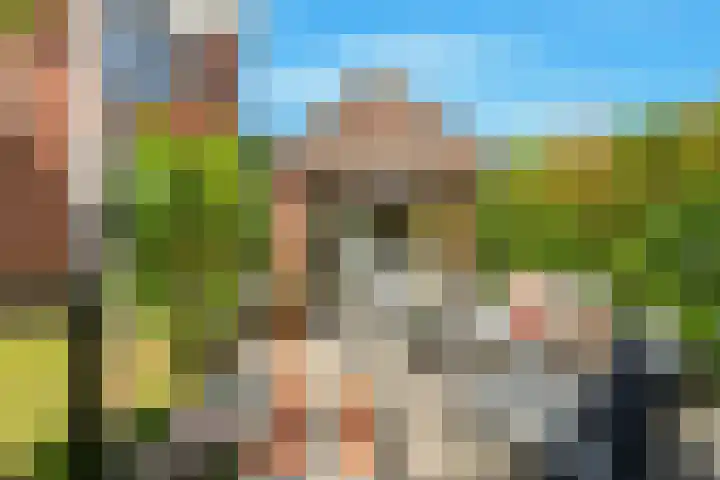 Mient 5 Castricum thumbnail 4