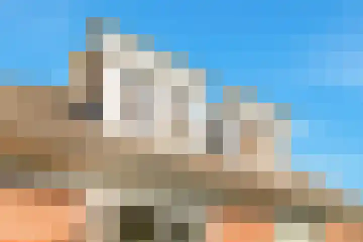 Mient 5 Castricum thumbnail 51