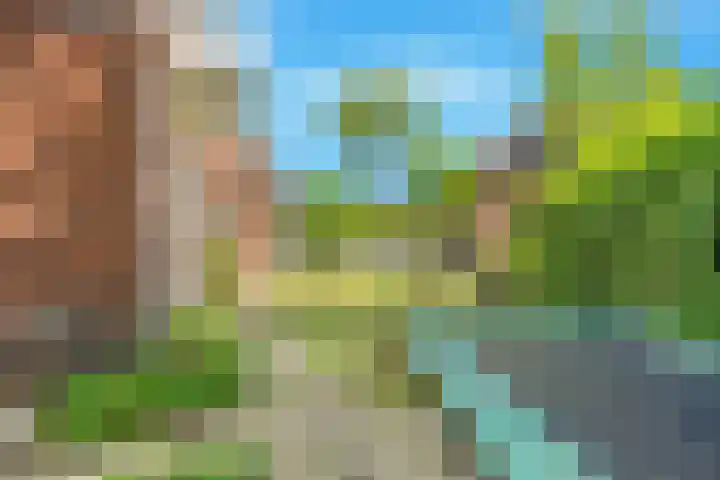 Mient 5 Castricum thumbnail 59
