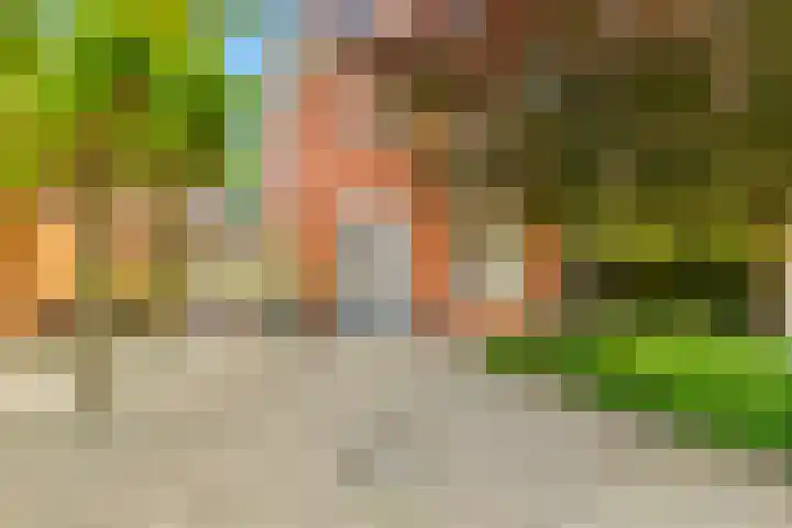 Mient 5 Castricum thumbnail 6