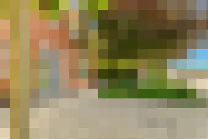 Mient 5 Castricum thumbnail 61