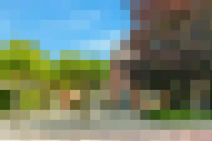 Mient 5 Castricum thumbnail 64