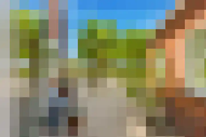 Mient 5 Castricum thumbnail 66