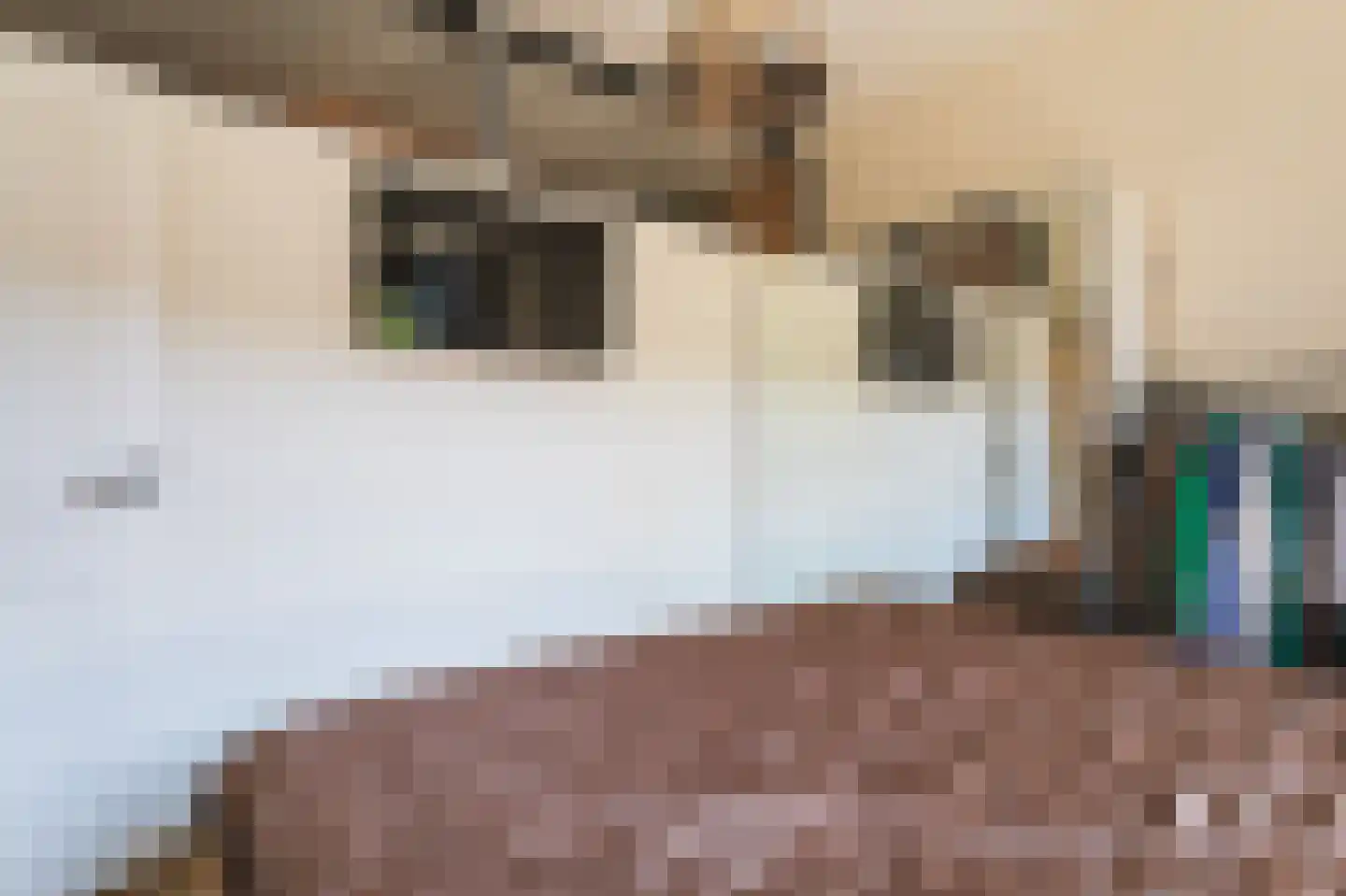 Mient 511 Den Haag thumbnail 17