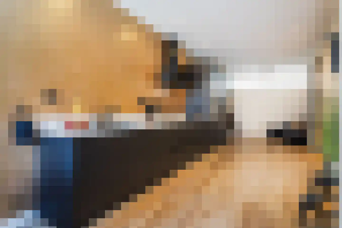 Mient 511 Den Haag thumbnail 4