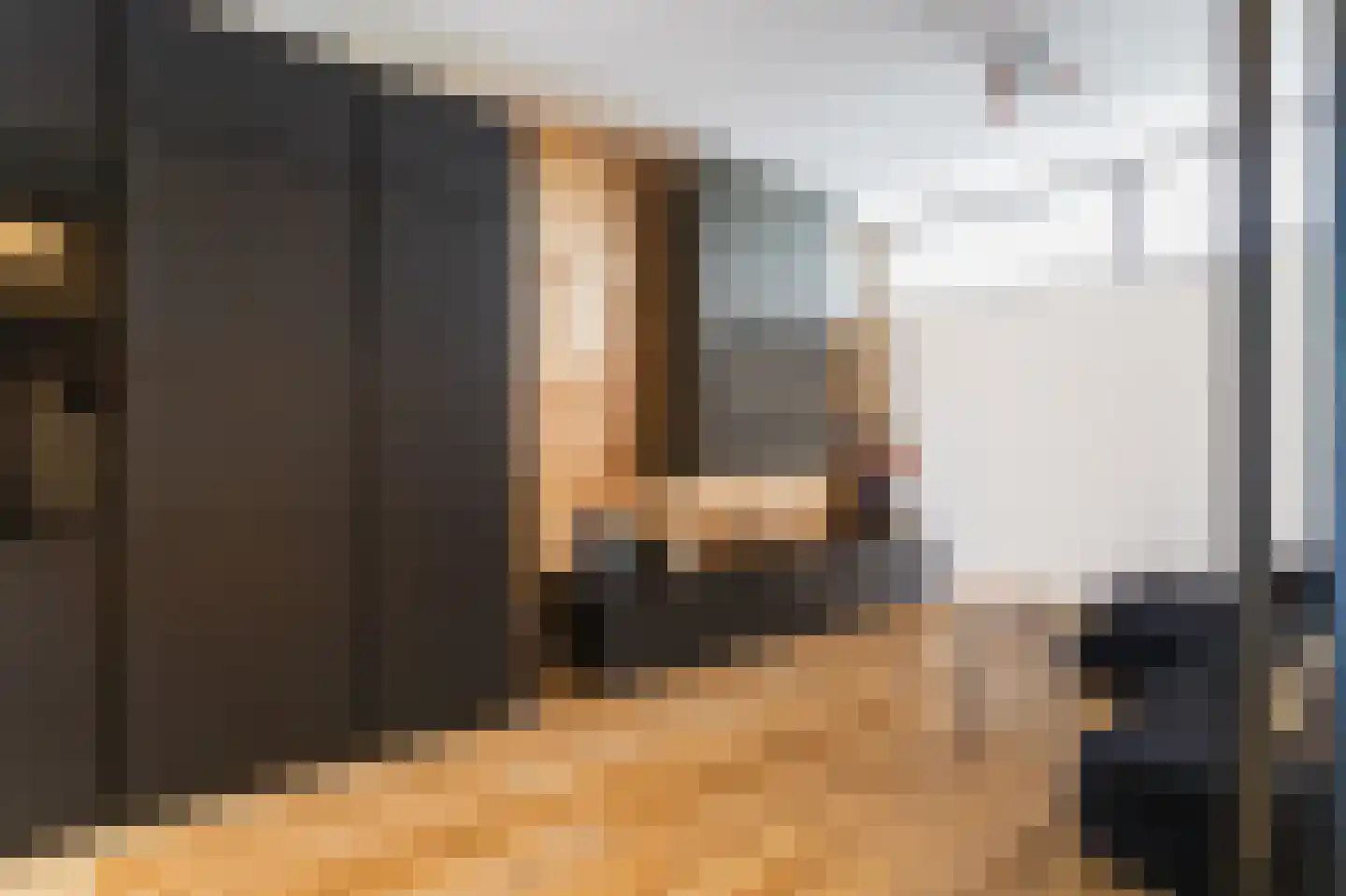 Mient 511 Den Haag thumbnail 5