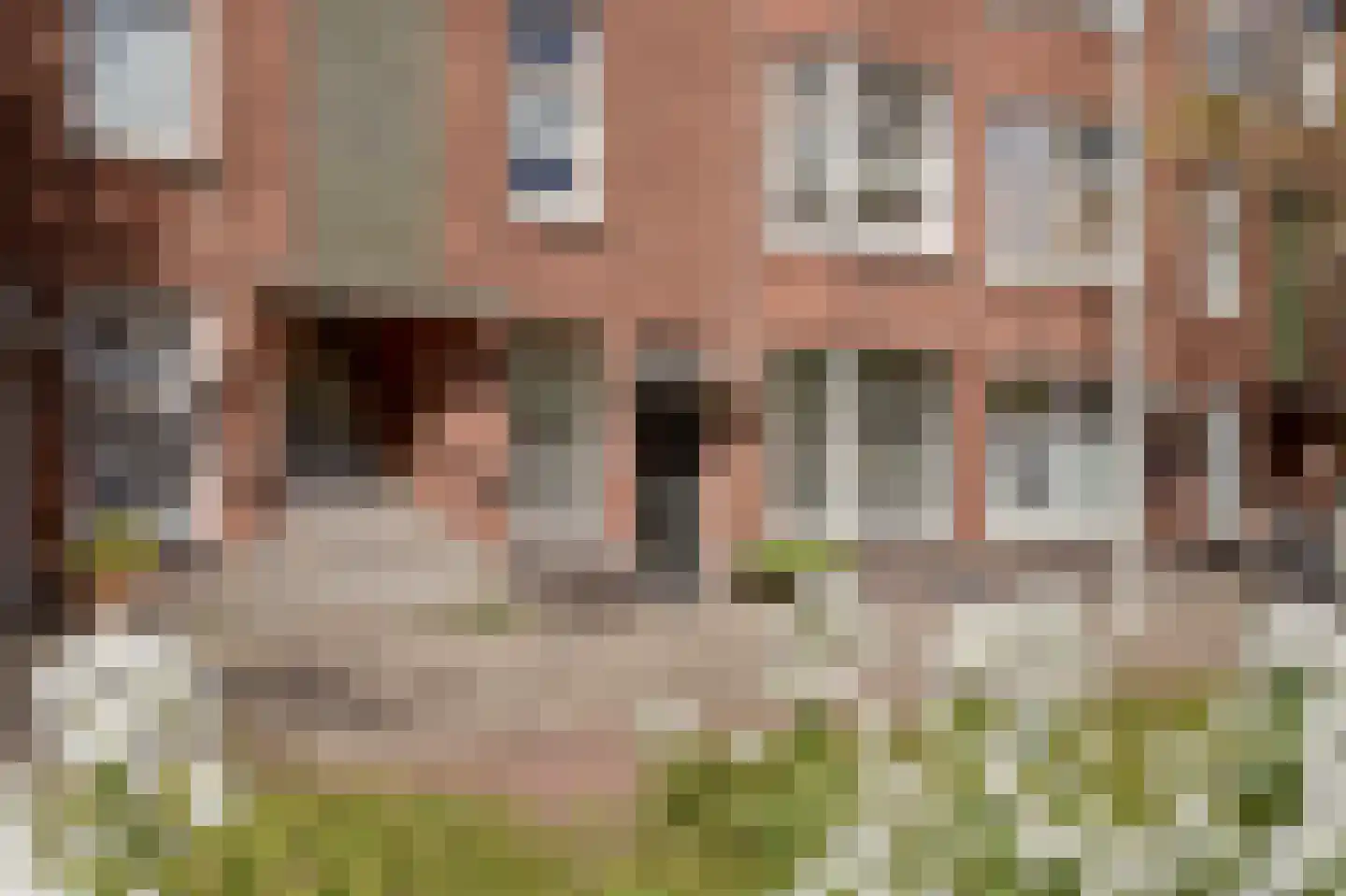Mient 523 Den Haag thumbnail 4