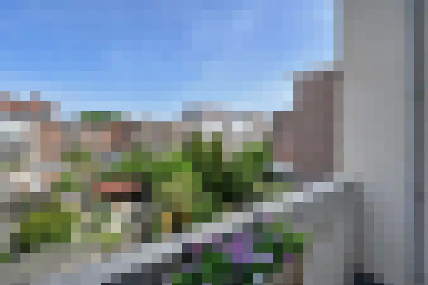 Mient 539 Den Haag thumbnail 51