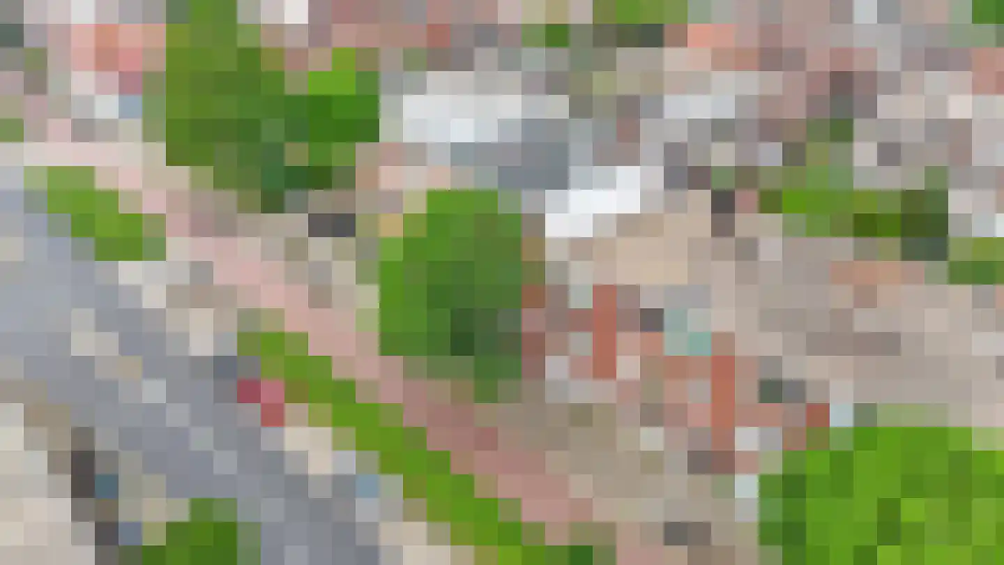 Mient 539 Den Haag thumbnail 6
