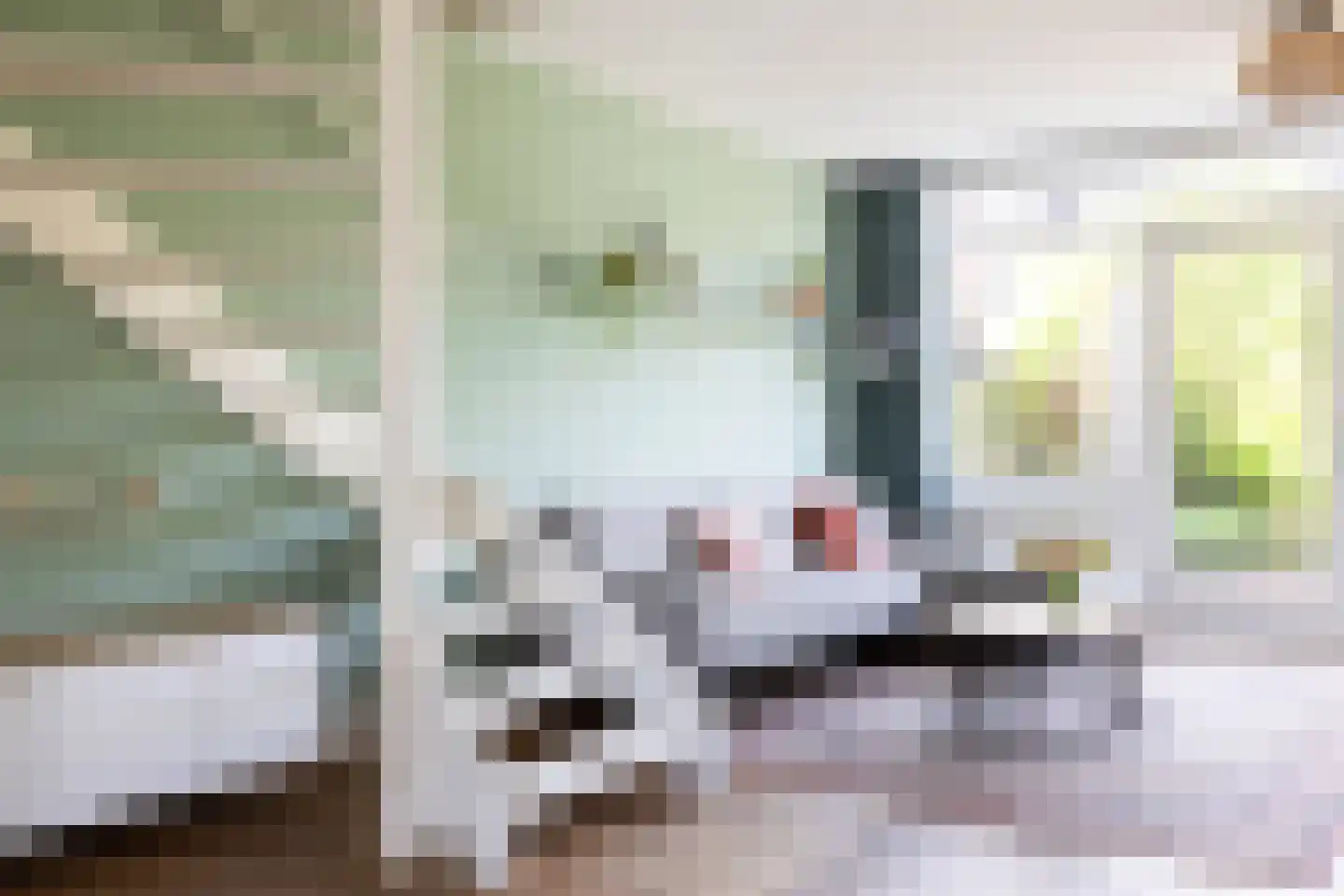 Mient 56 Vijfhuizen thumbnail 17