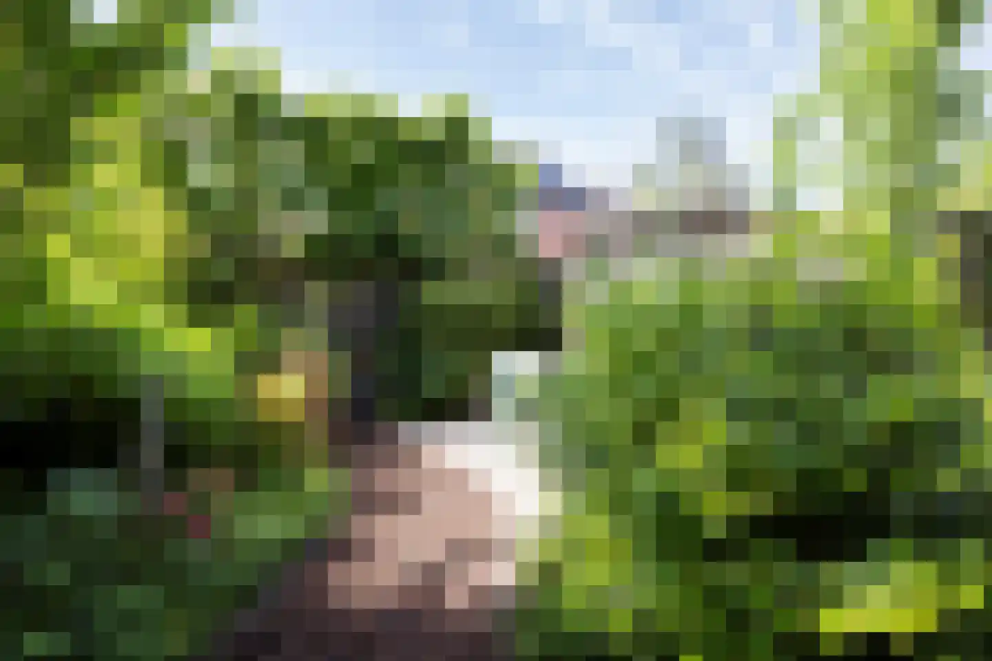Mient 56 Vijfhuizen thumbnail 20