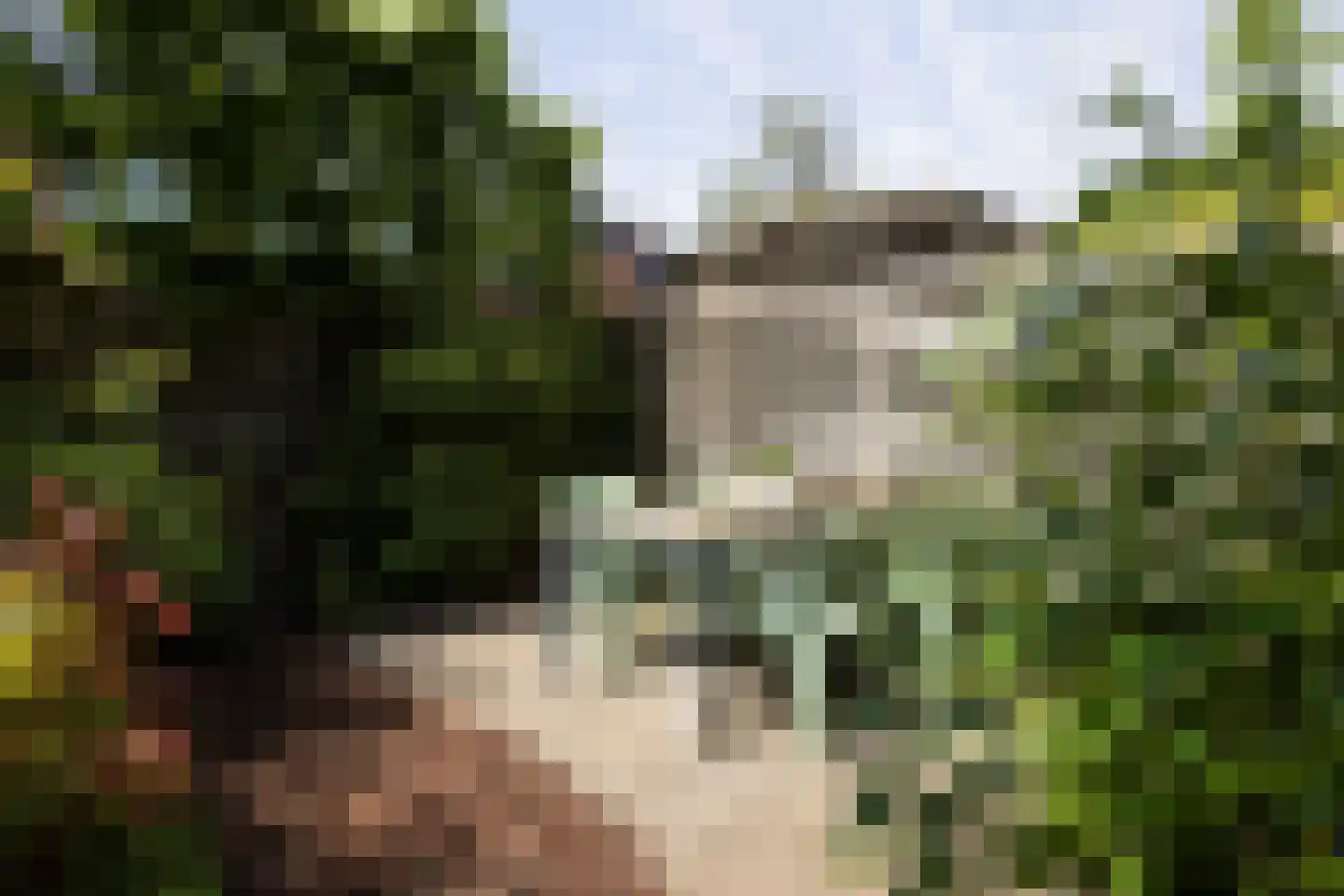 Mient 56 Vijfhuizen thumbnail 21