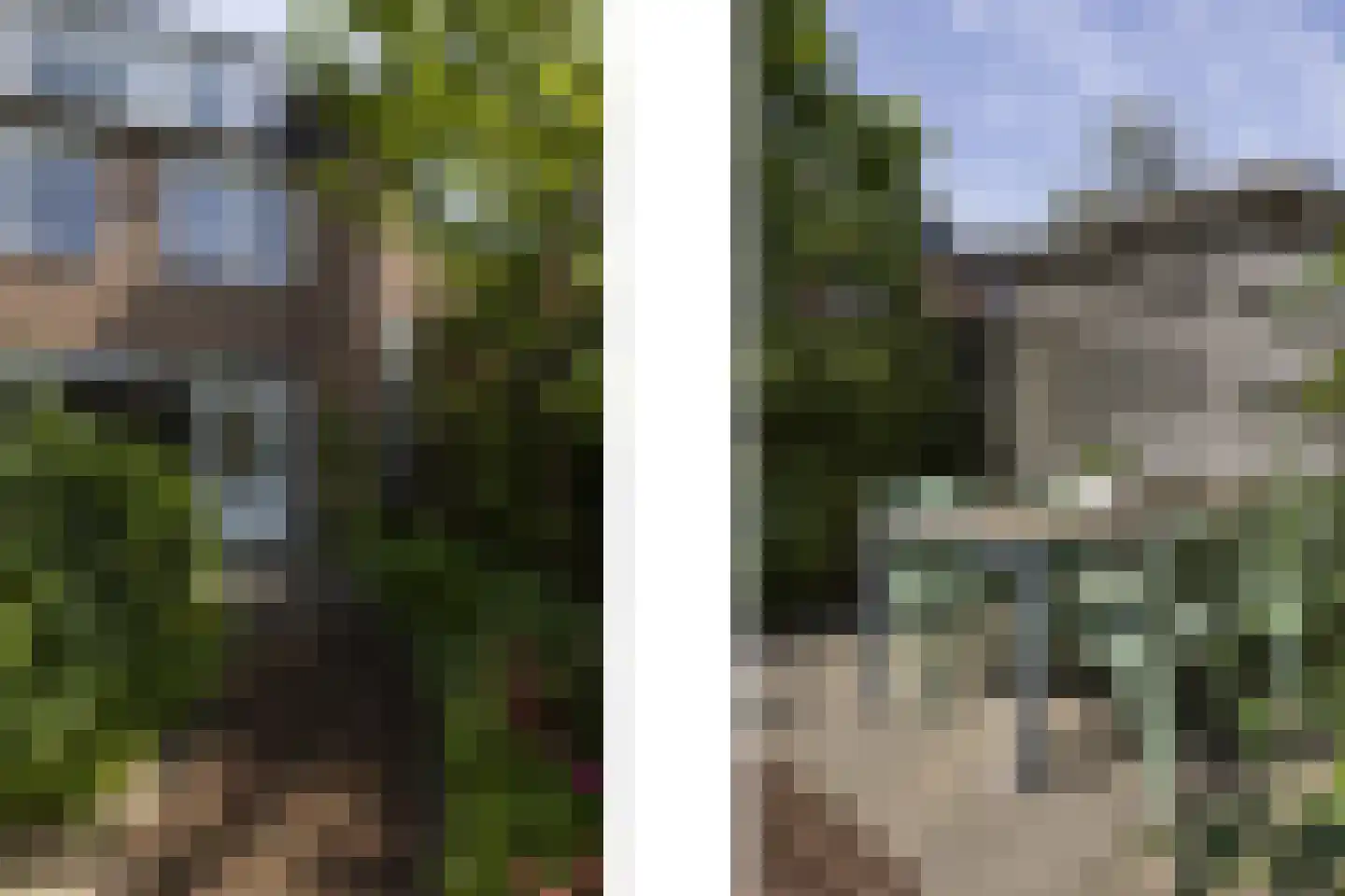 Mient 56 Vijfhuizen thumbnail 22