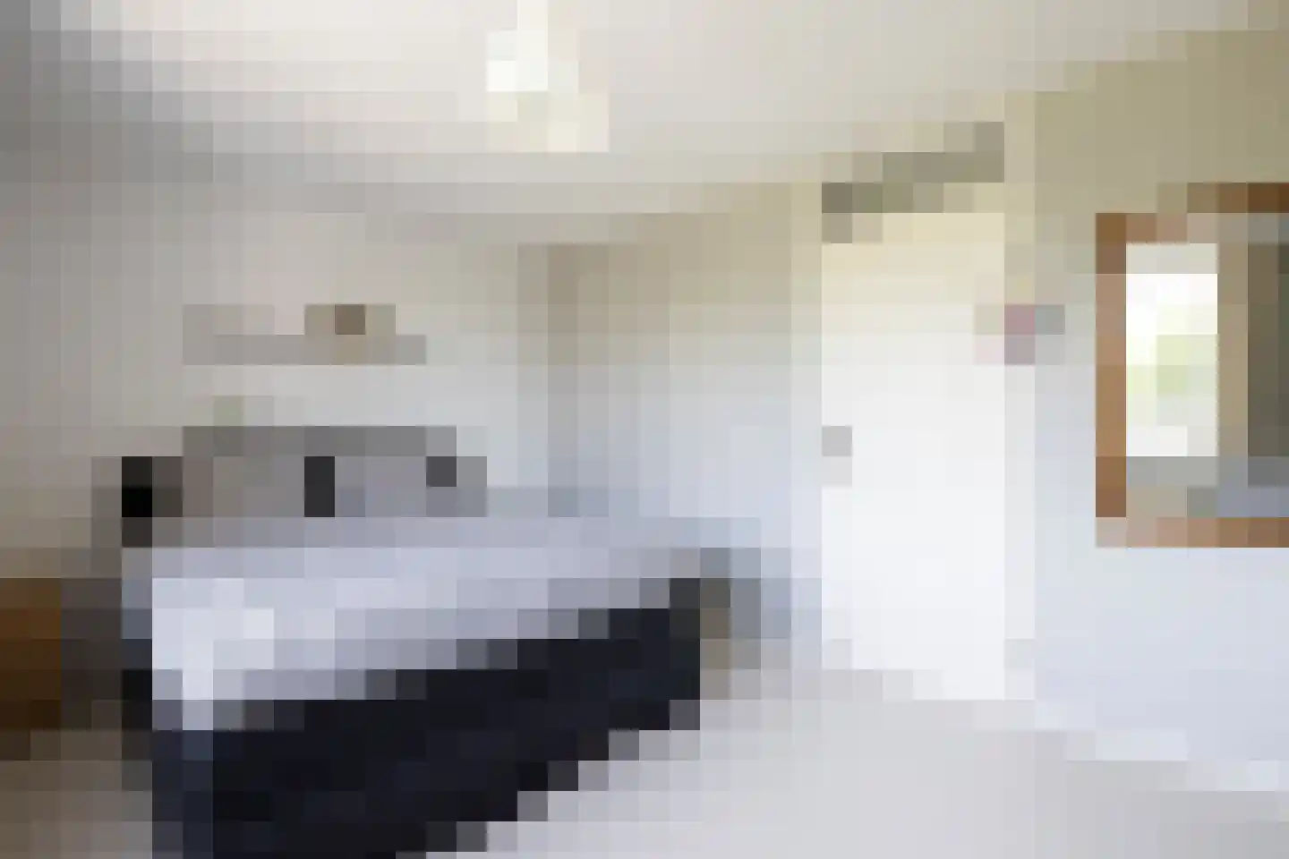 Mient 56 Vijfhuizen thumbnail 38