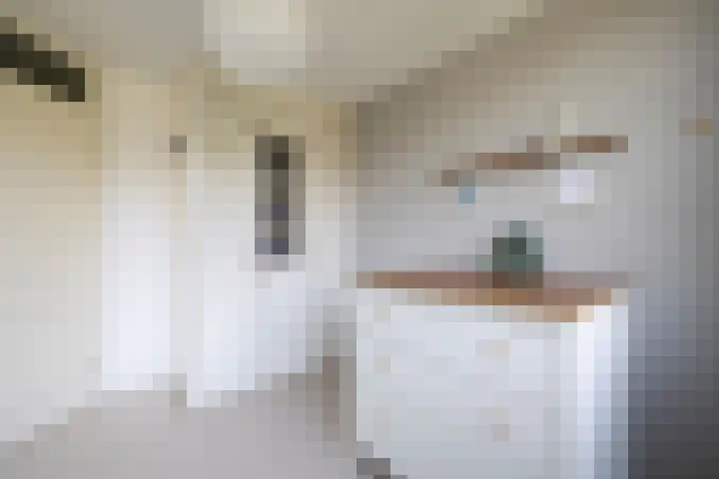 Mient 56 Vijfhuizen thumbnail 45