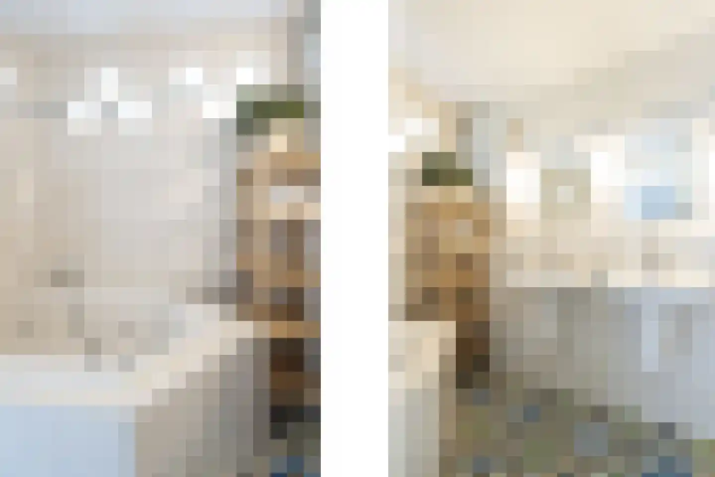 Mient 56 Vijfhuizen thumbnail 48
