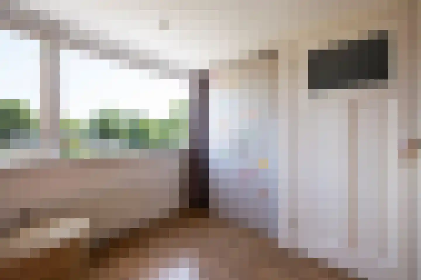 Mient 56 Vijfhuizen thumbnail 58