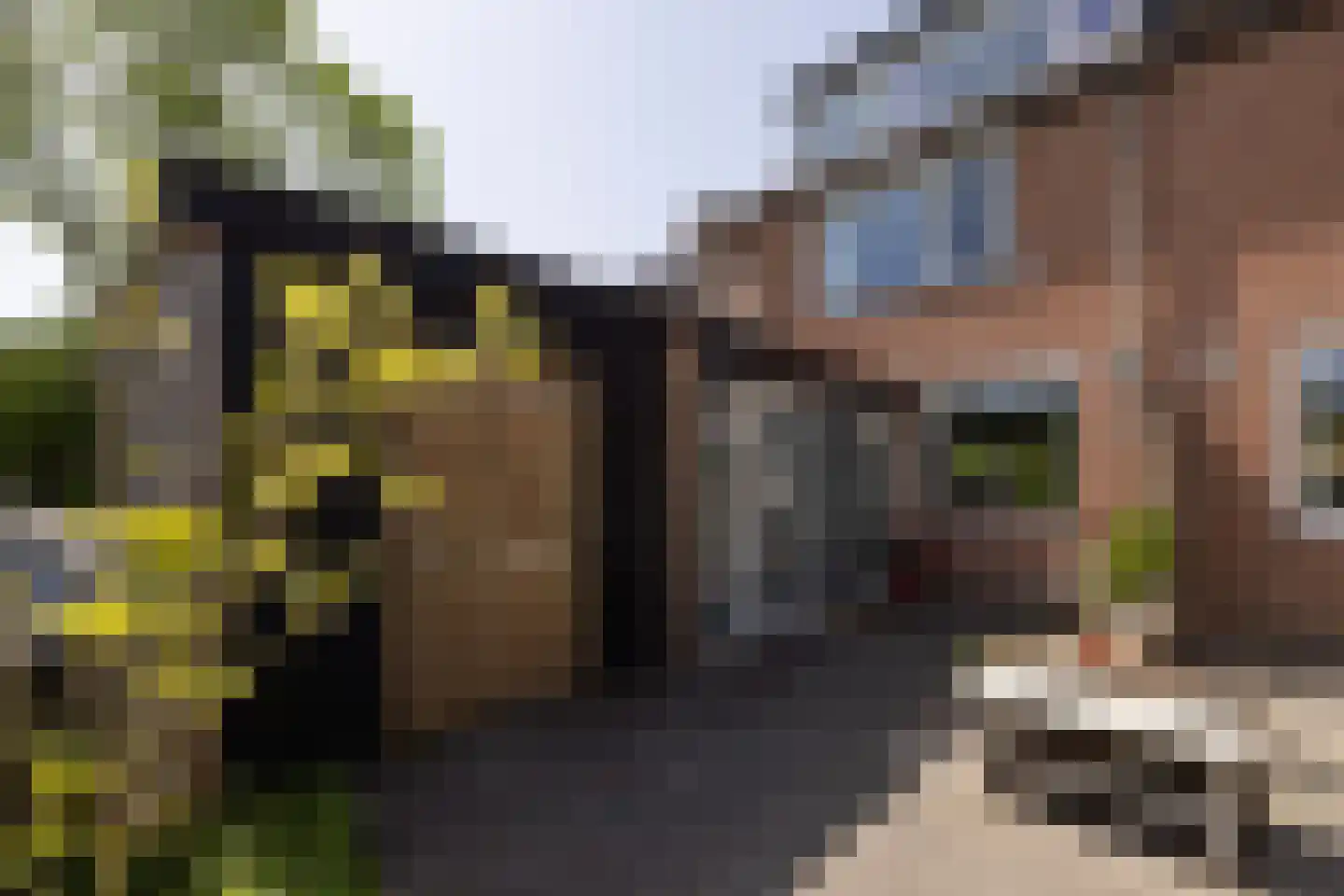 Mient 56 Vijfhuizen thumbnail 6