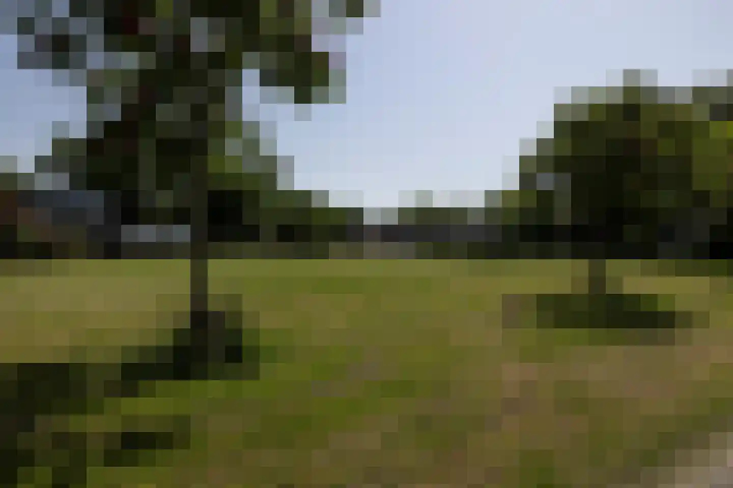 Mient 56 Vijfhuizen thumbnail 61