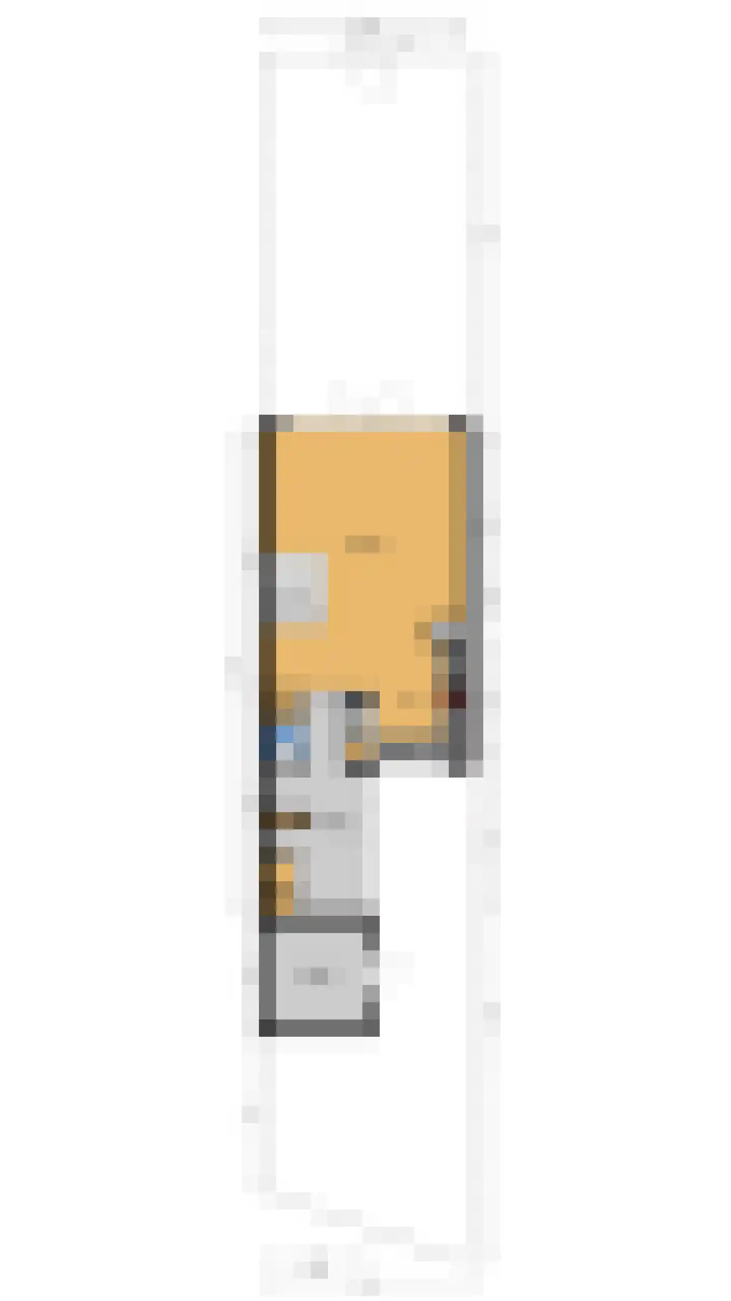 Mient 56 Vijfhuizen thumbnail 62